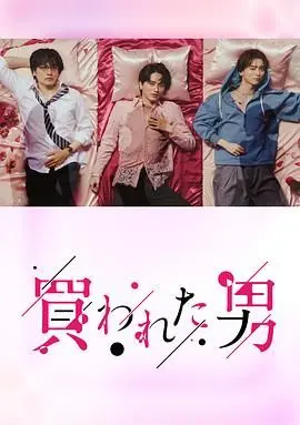 《被买的男人》：揭秘男公关背后的欲望与挣扎，成人世界的残酷童话！