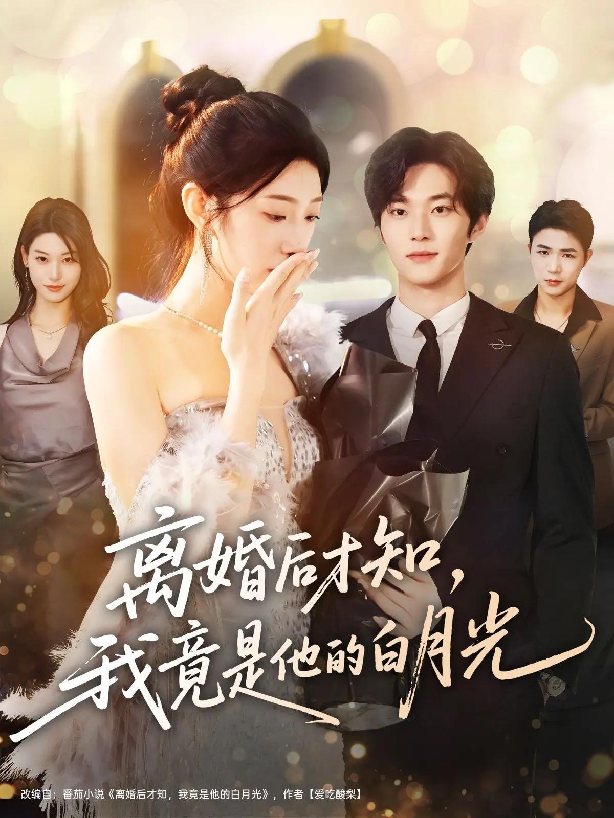 《离婚后才知，我竟是他的白月光》：追悔莫及的爱情，一场命运的错位与救赎