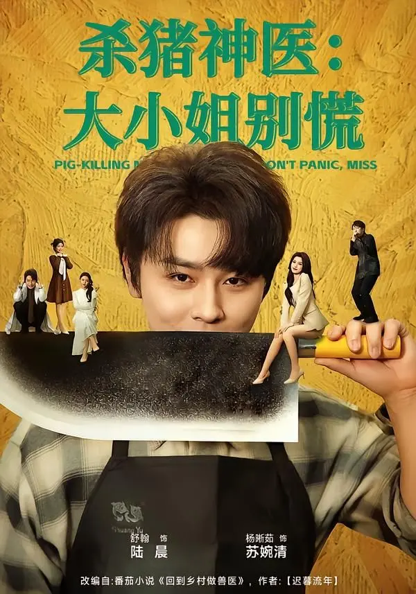 《杀猪神医，大小姐别慌》：当“医术”遇上“套路”，一场啼笑皆非的豪门“医患”情缘