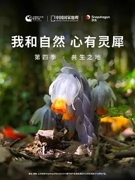《我和自然 心有灵犀》第四季：共生之地，揭秘生命奇迹与奥斯卡提名视效震撼