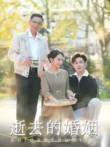 《逝去的婚姻》：破碎家庭的真实写照，爱与责任在风雨中的艰难抉择