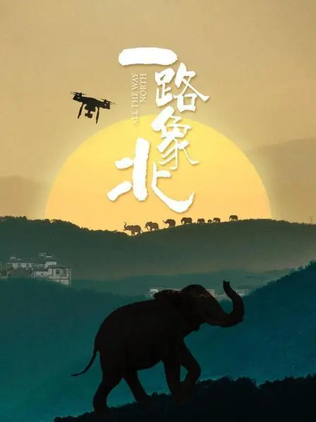 《一路“象”北》：一段关于成长、梦想与爱的治愈之旅，你准备好出发了吗？