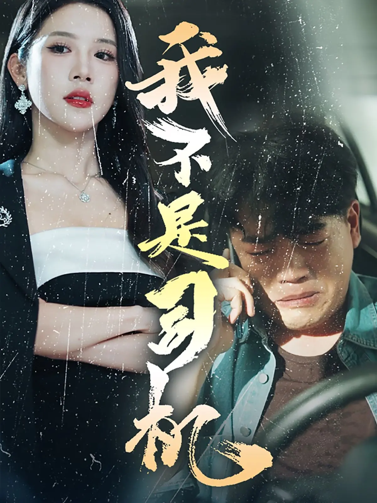 我不是司机 海报